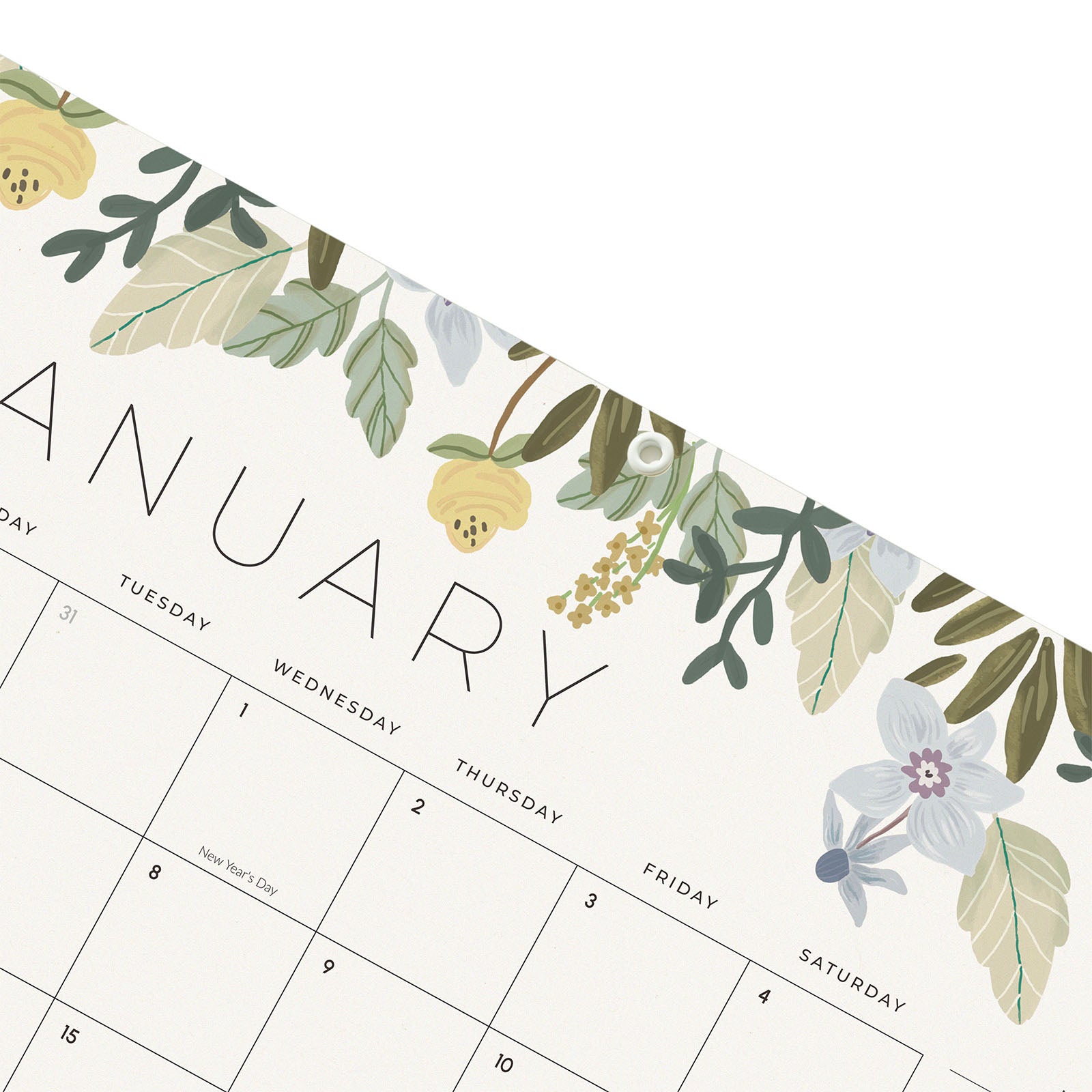 Cabbrix 2025-2026 Desk Calendar Refills, Botanical Elements