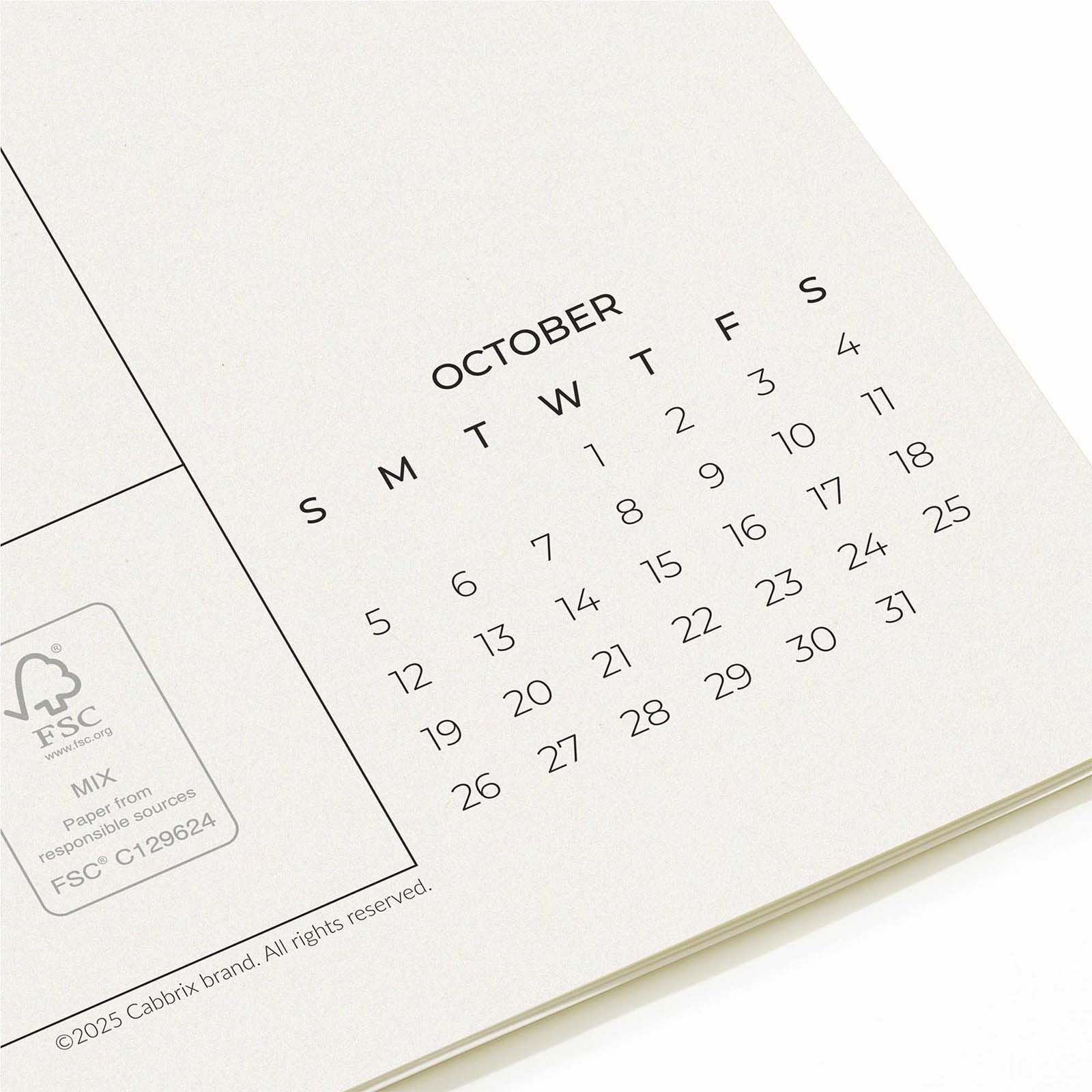 Cabbrix 2025-2026 Desk Calendar Refills, Simplified Style