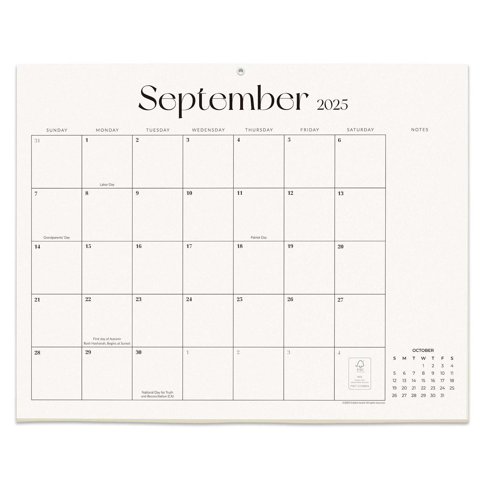 Cabbrix 2025-2026 Desk Calendar Refills, Simplified Style