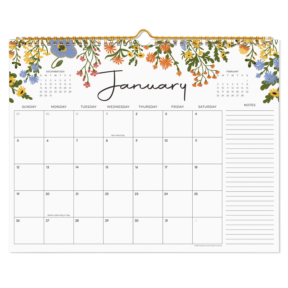 Cabbrix® 20252026 Academic Wall Calendar, Wirebound, 15"L×12"W