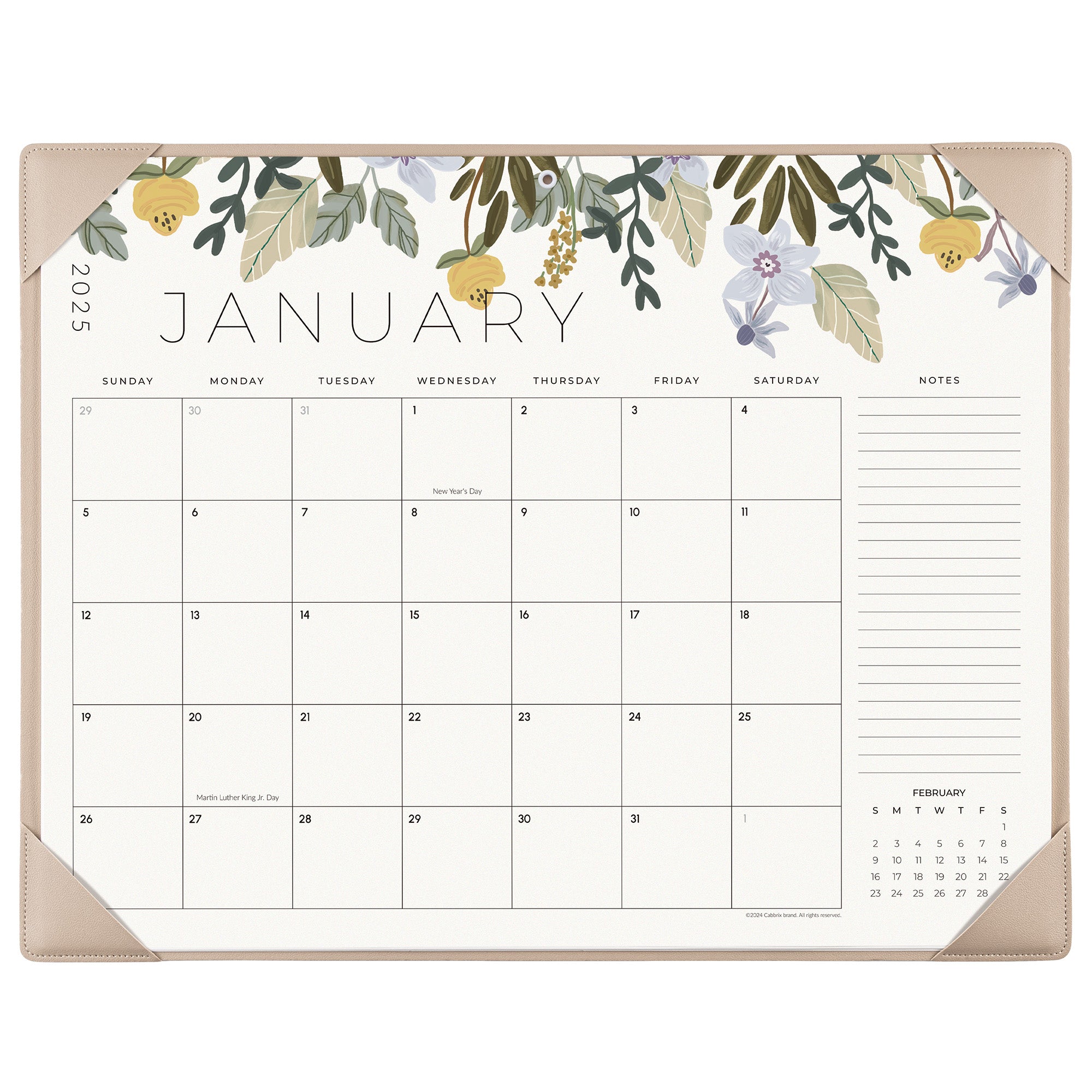 Cabbrix 2025-2026 Desk Calendar, Botanical Elements, Apricot