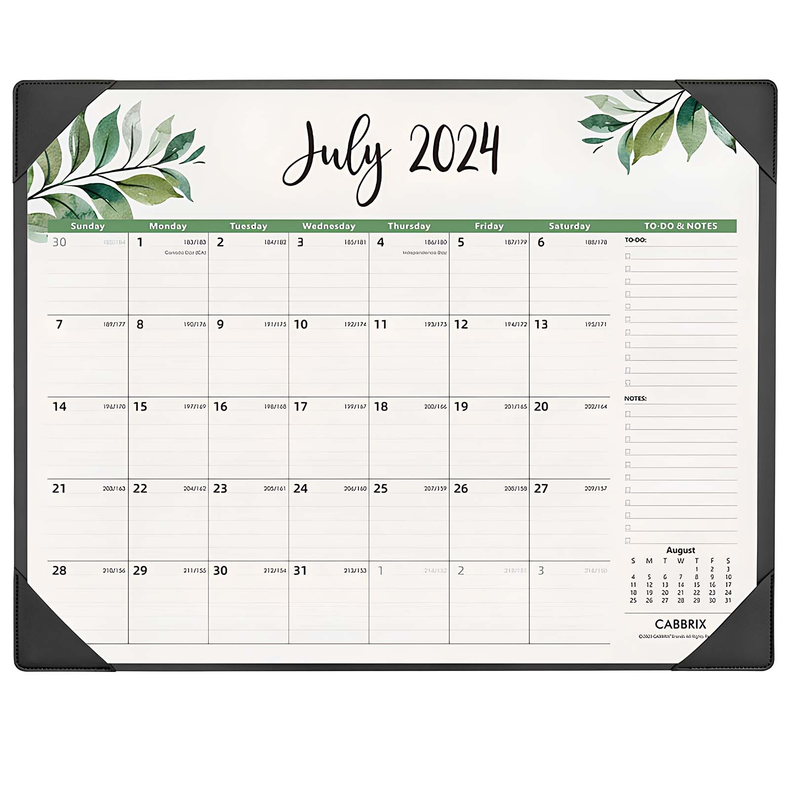 Cabbrix®, Jul 2024-Dec 2025 Desk Calendar, Large, 22"L×17"W, Botanical Elements, Black