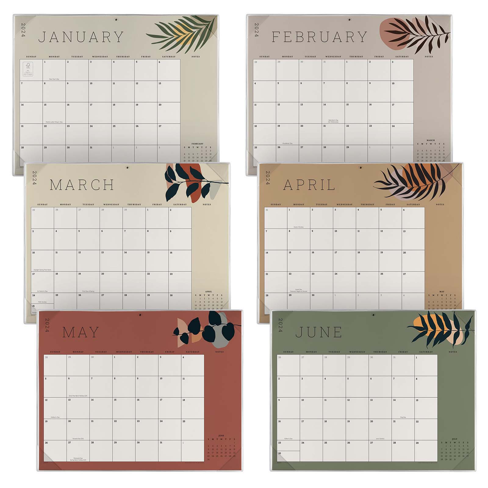 Cabbrix®, Jul 2024-Jun 2025 Desk Calendar, Large, 21"L×16.5"W, Botanical Elements, PVC Desk Mat Back Board